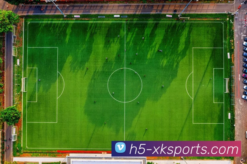 XK星空体育APP 封面图